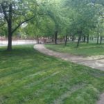 parcul padurice lidia