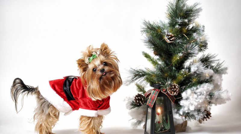 brad artificial pentru craciun